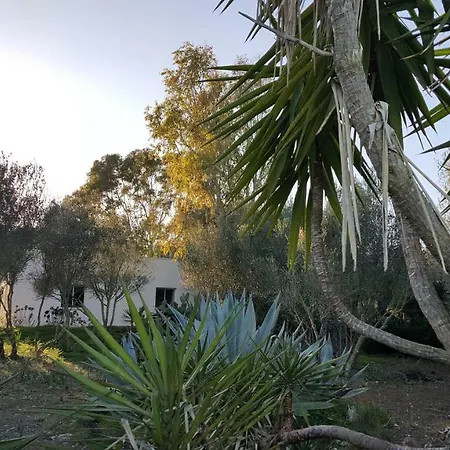 Nyaraló Casa Farah Mallorca Ses Salines