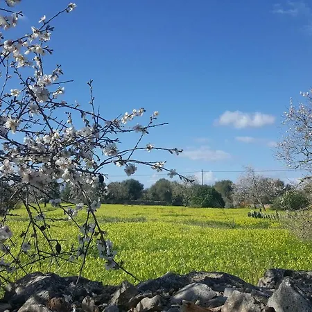 Casa Farah Mallorca Nyaraló