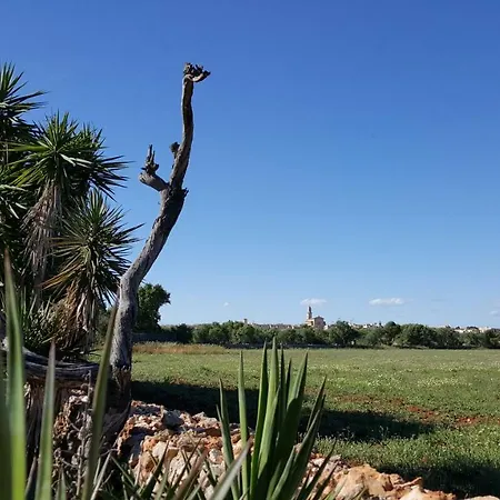 Casa Farah Mallorca *