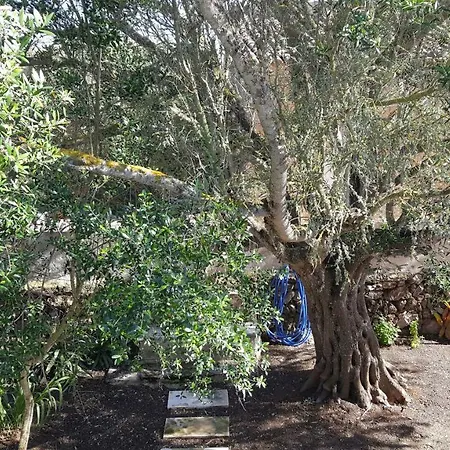 Casa Farah Mallorca