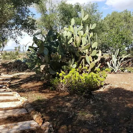 Casa Farah Mallorca *